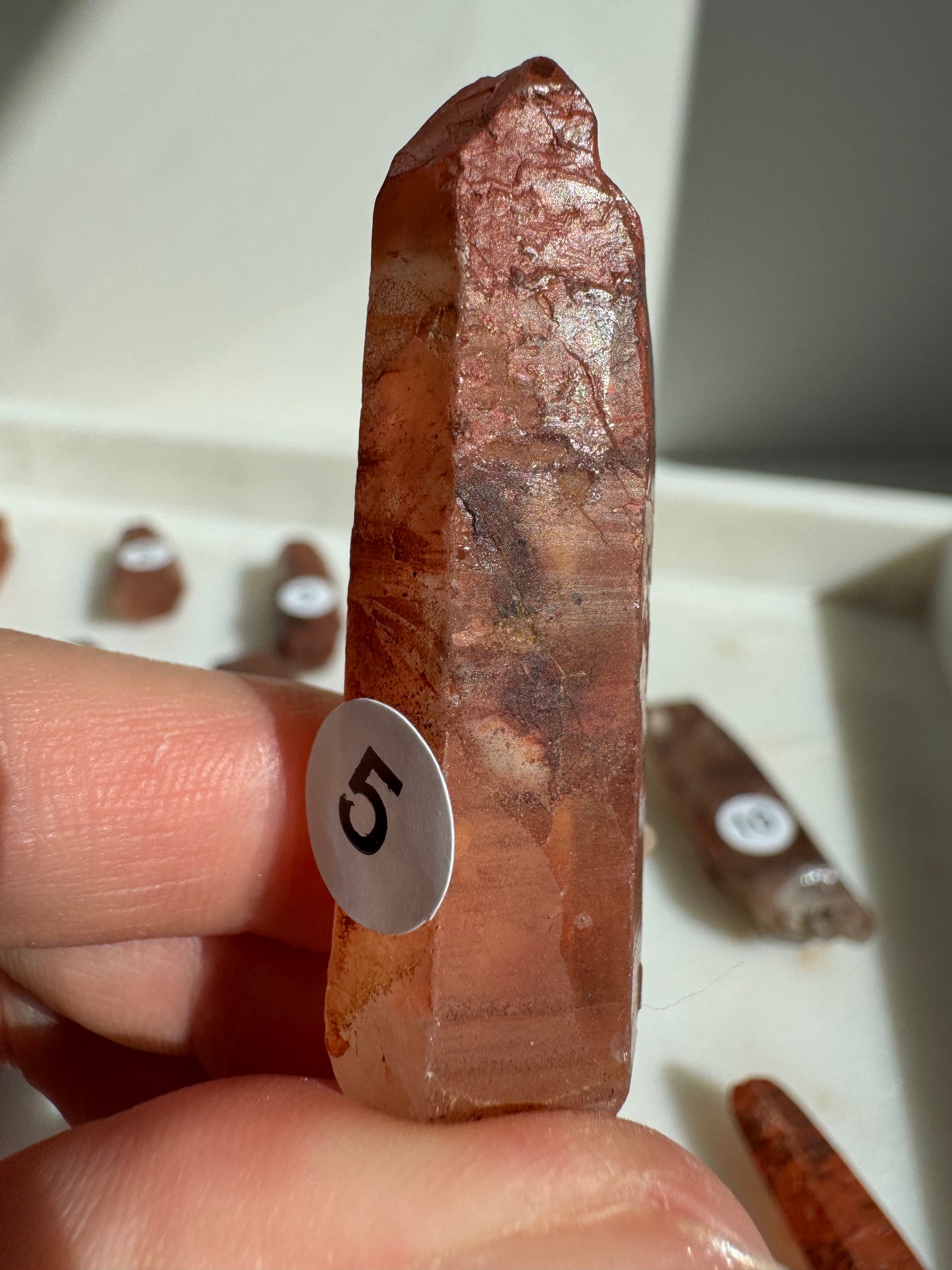 Tibetan Quartz Raw point ( Red Exterior)