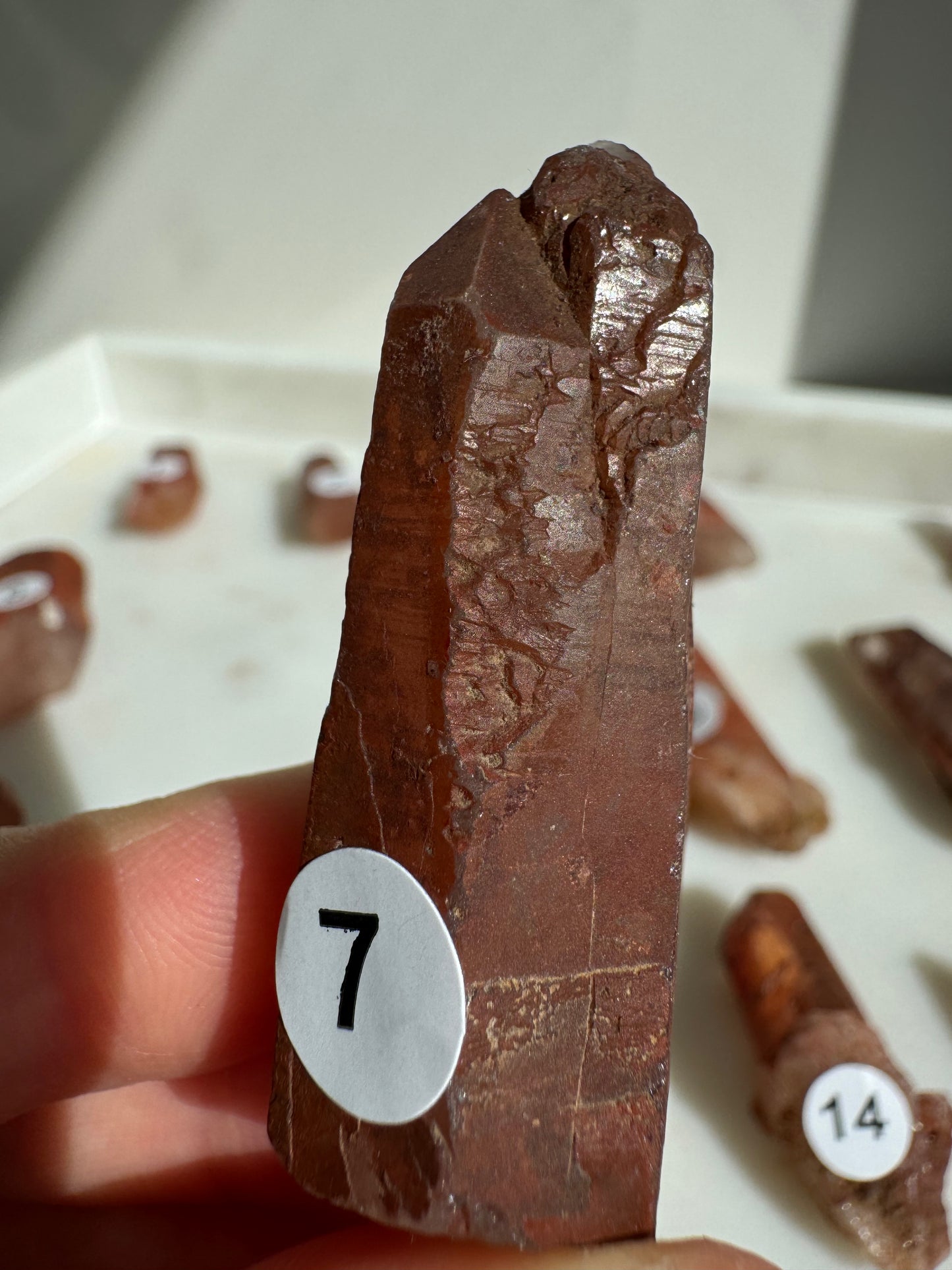 Tibetan Quartz Raw point ( Red Exterior)