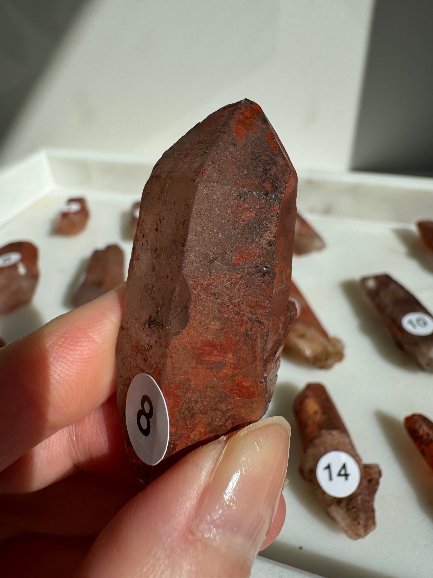 Tibetan Quartz Raw point ( Red Exterior)