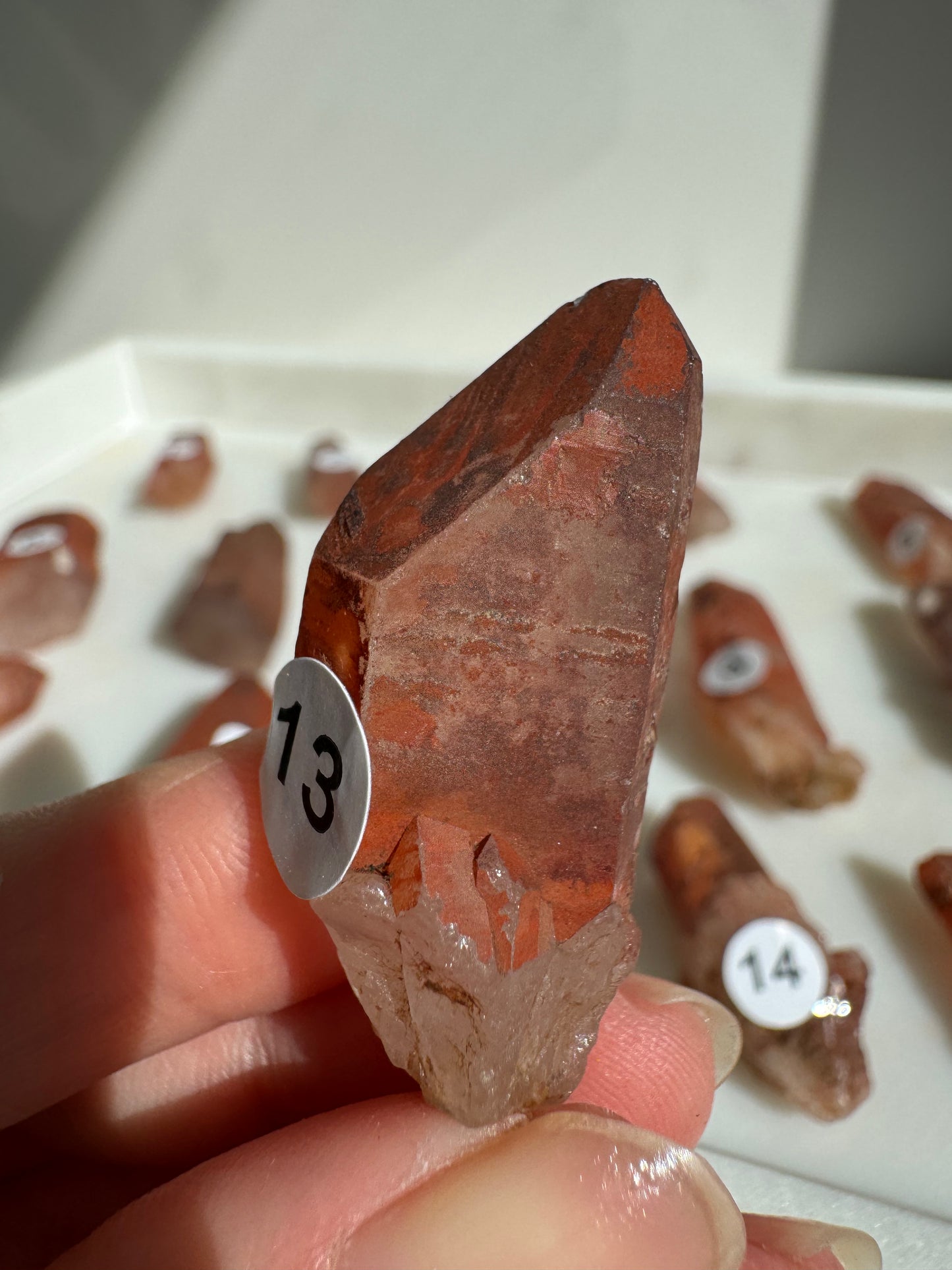 Tibetan Quartz Raw point ( Red Exterior)