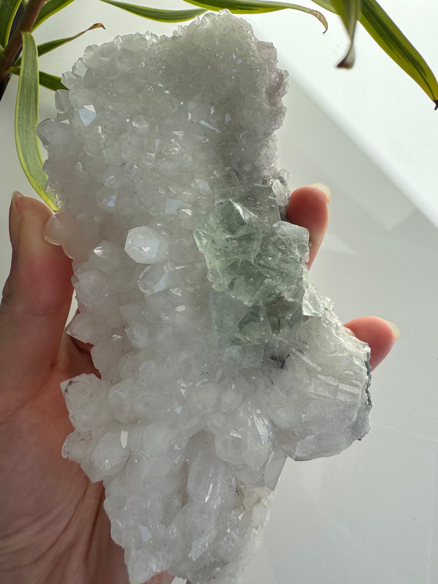 Cubic Transparent Mint Green Fluorite with Quartz Specimen
