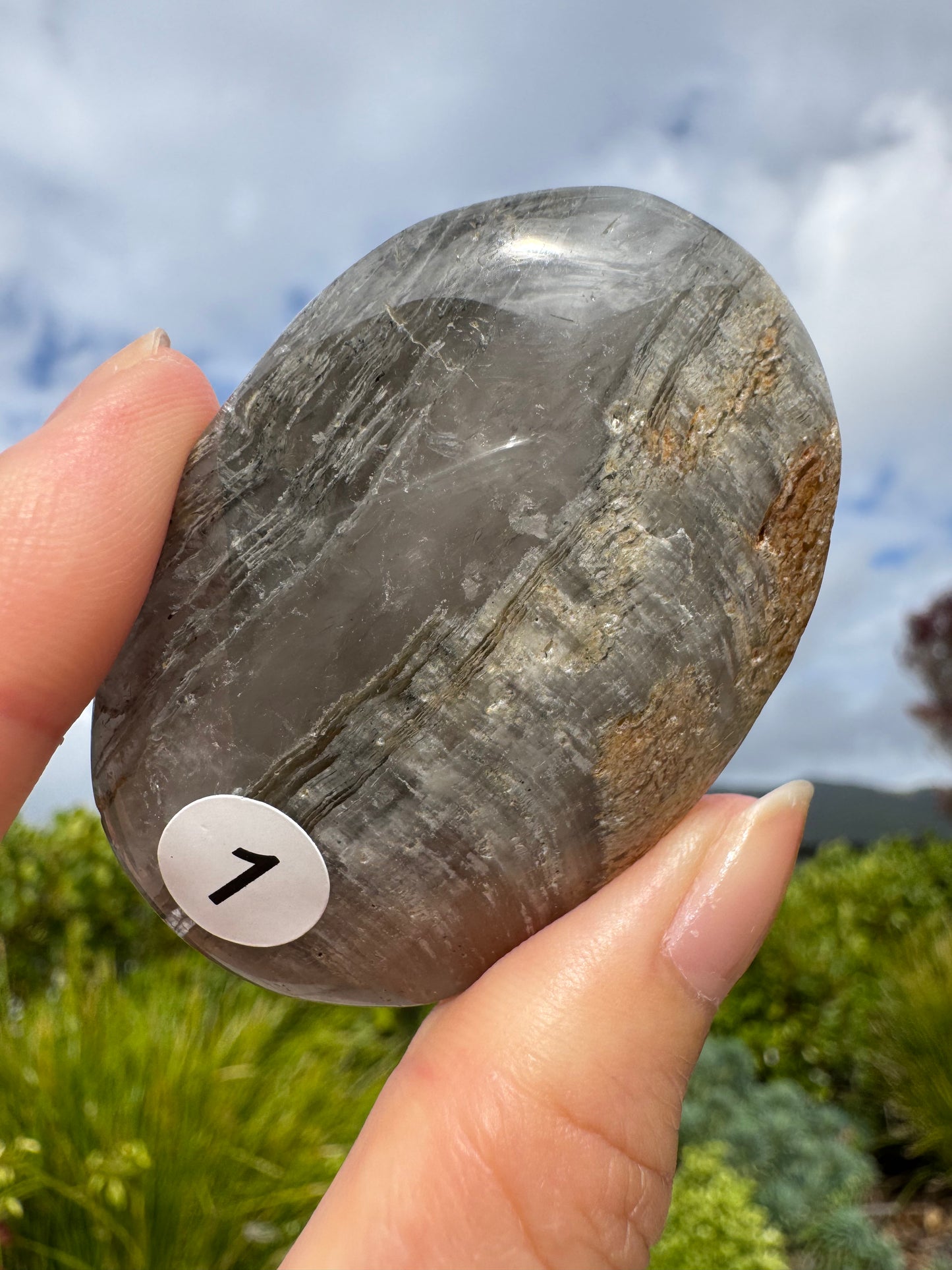 Lodolite Palm stone