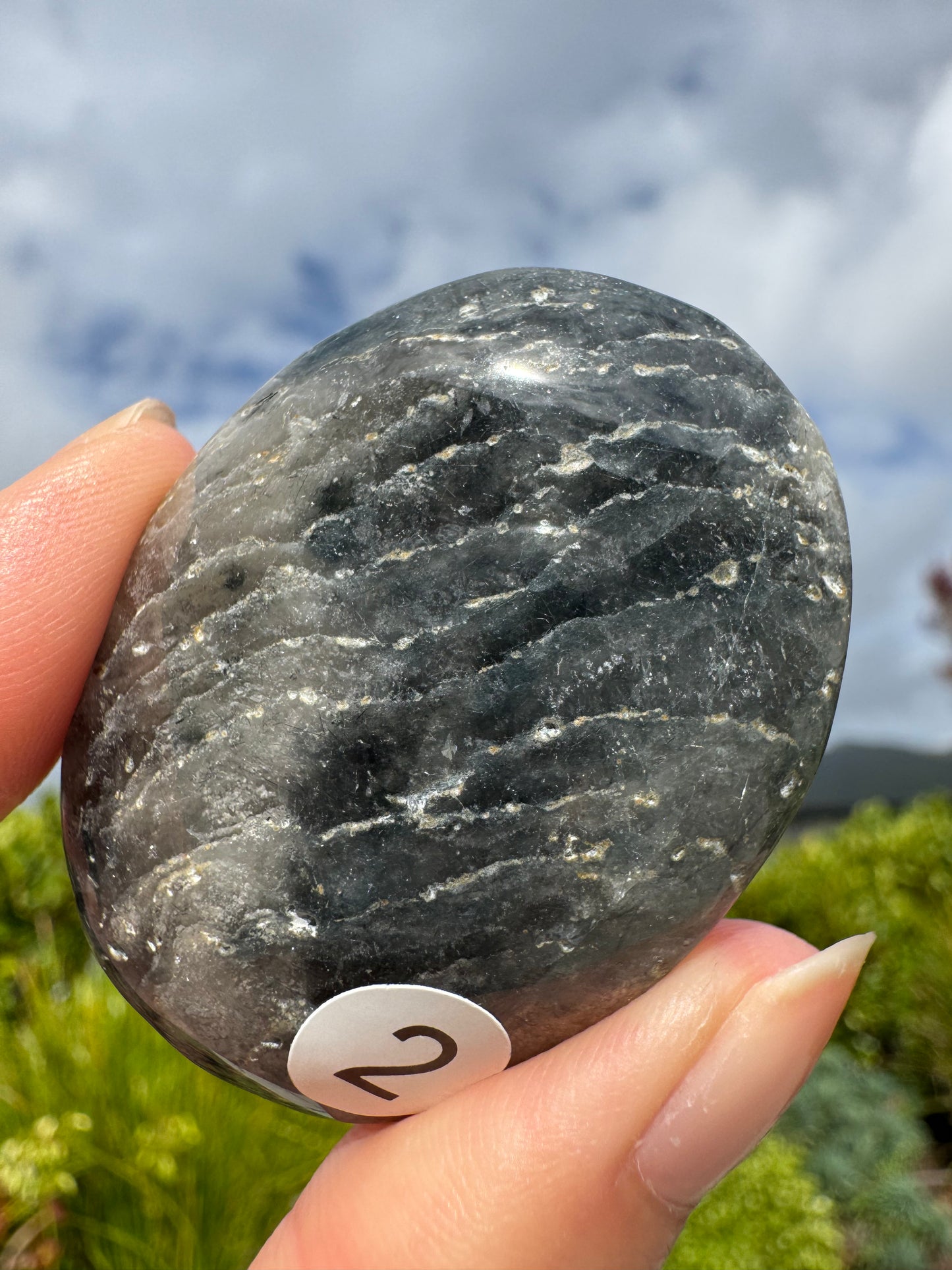 Lodolite Palm stone