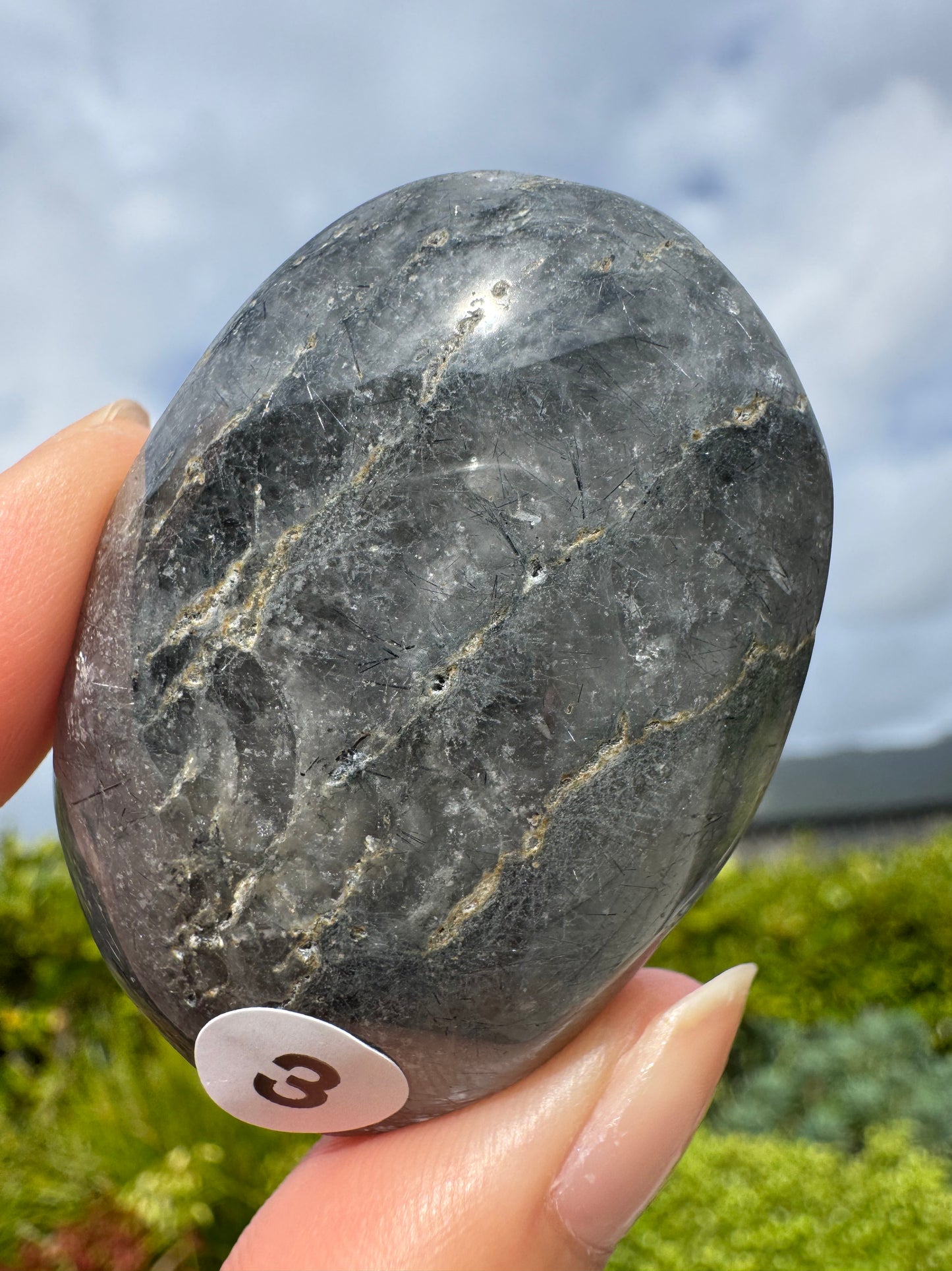 Lodolite Palm stone