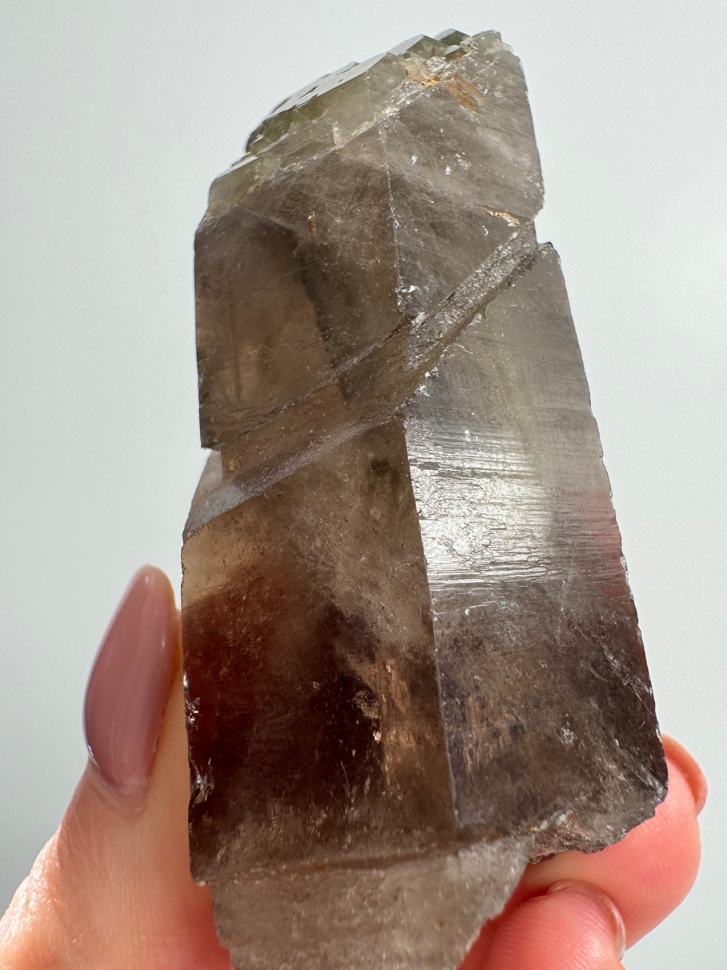 Self healed Smoky Lodolite Quartz