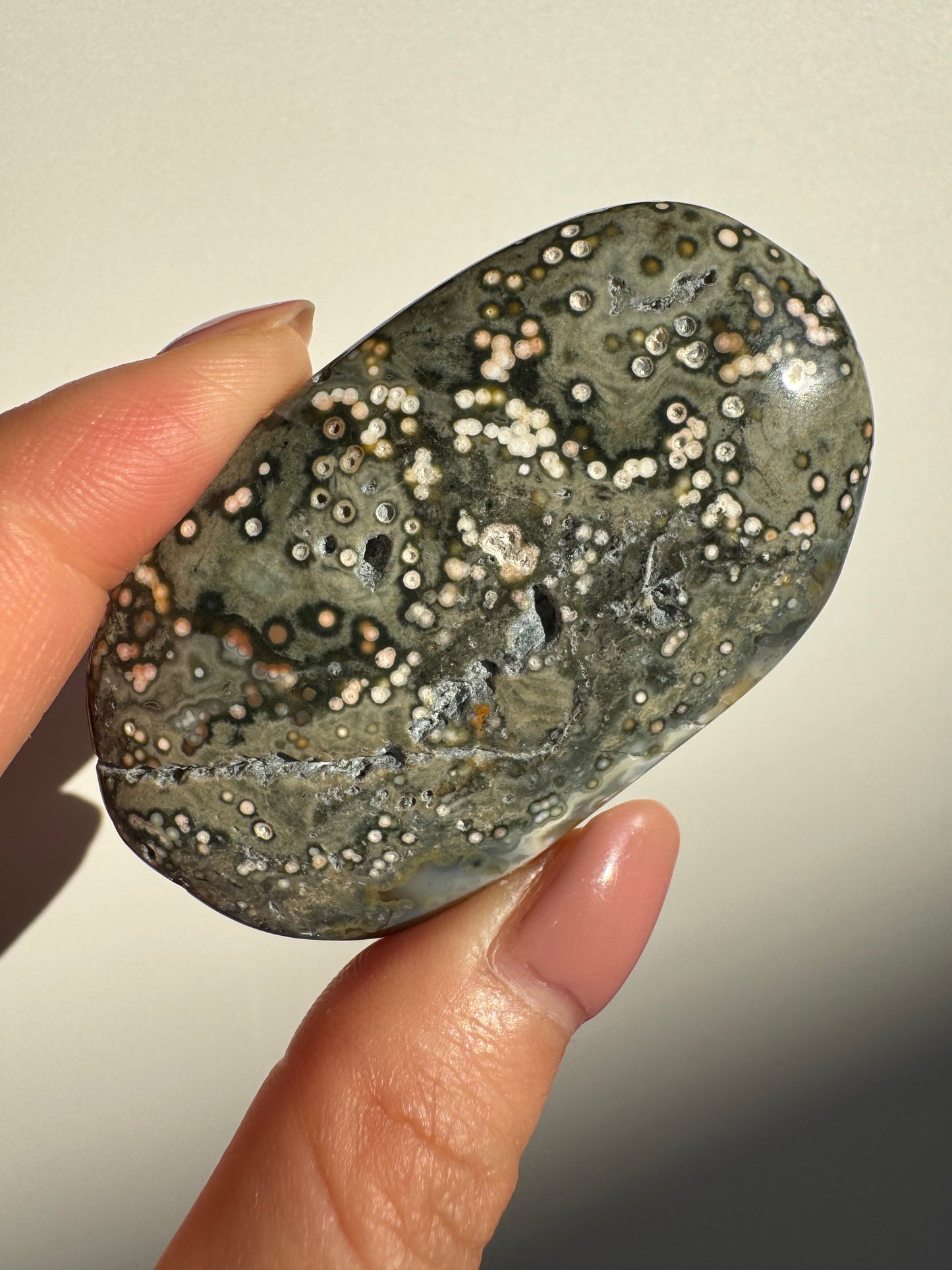 Orbicular Ocean Jasper Palmstone