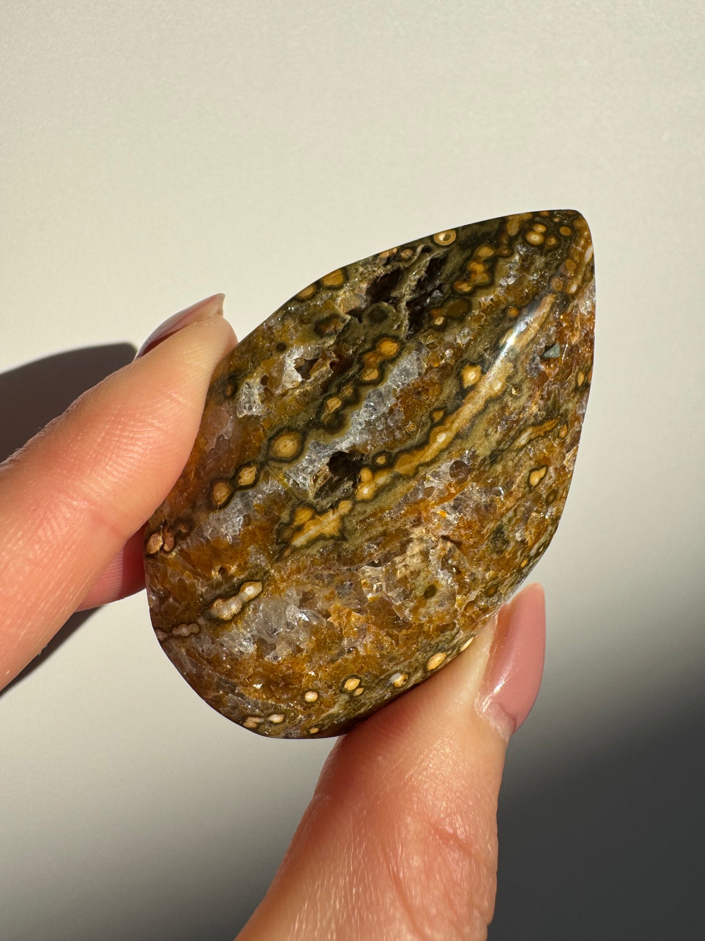 Orbicular Ocean Jasper Palmstone