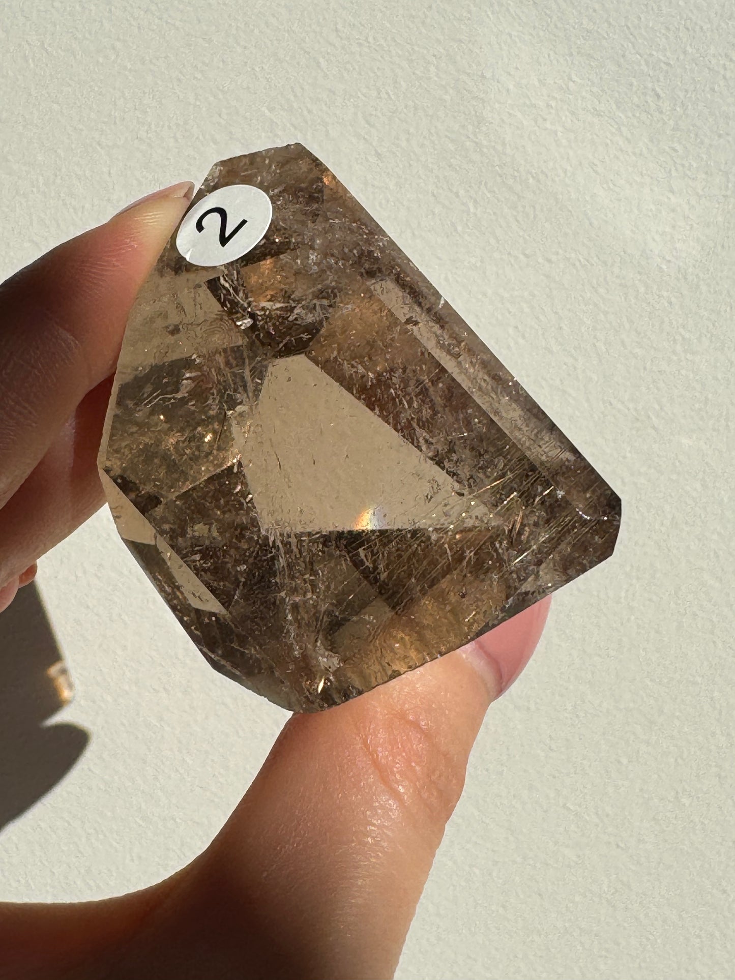 High Grade Golden Rutile in Smoky Quartz #2