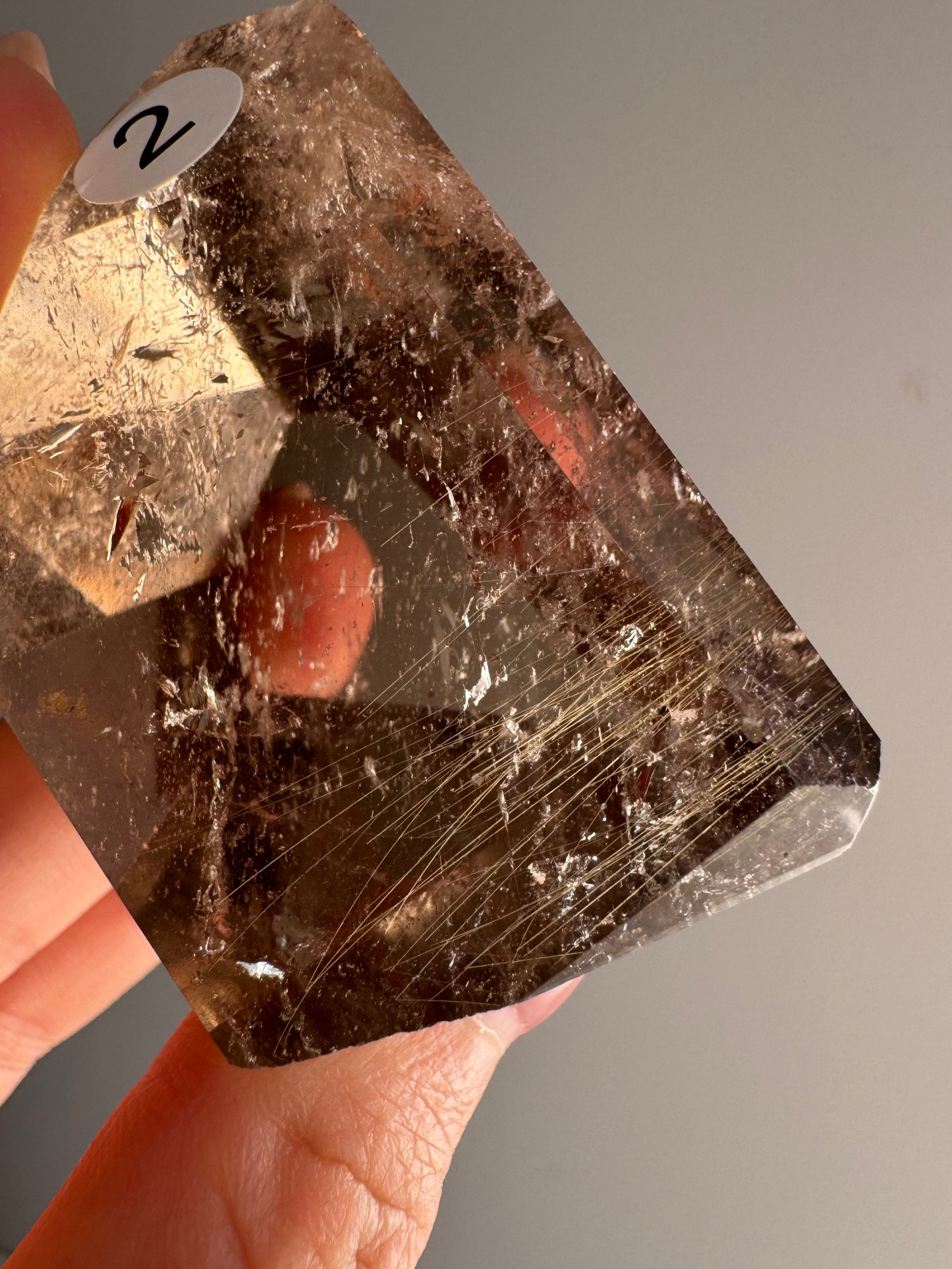 High Grade Golden Rutile in Smoky Quartz #2