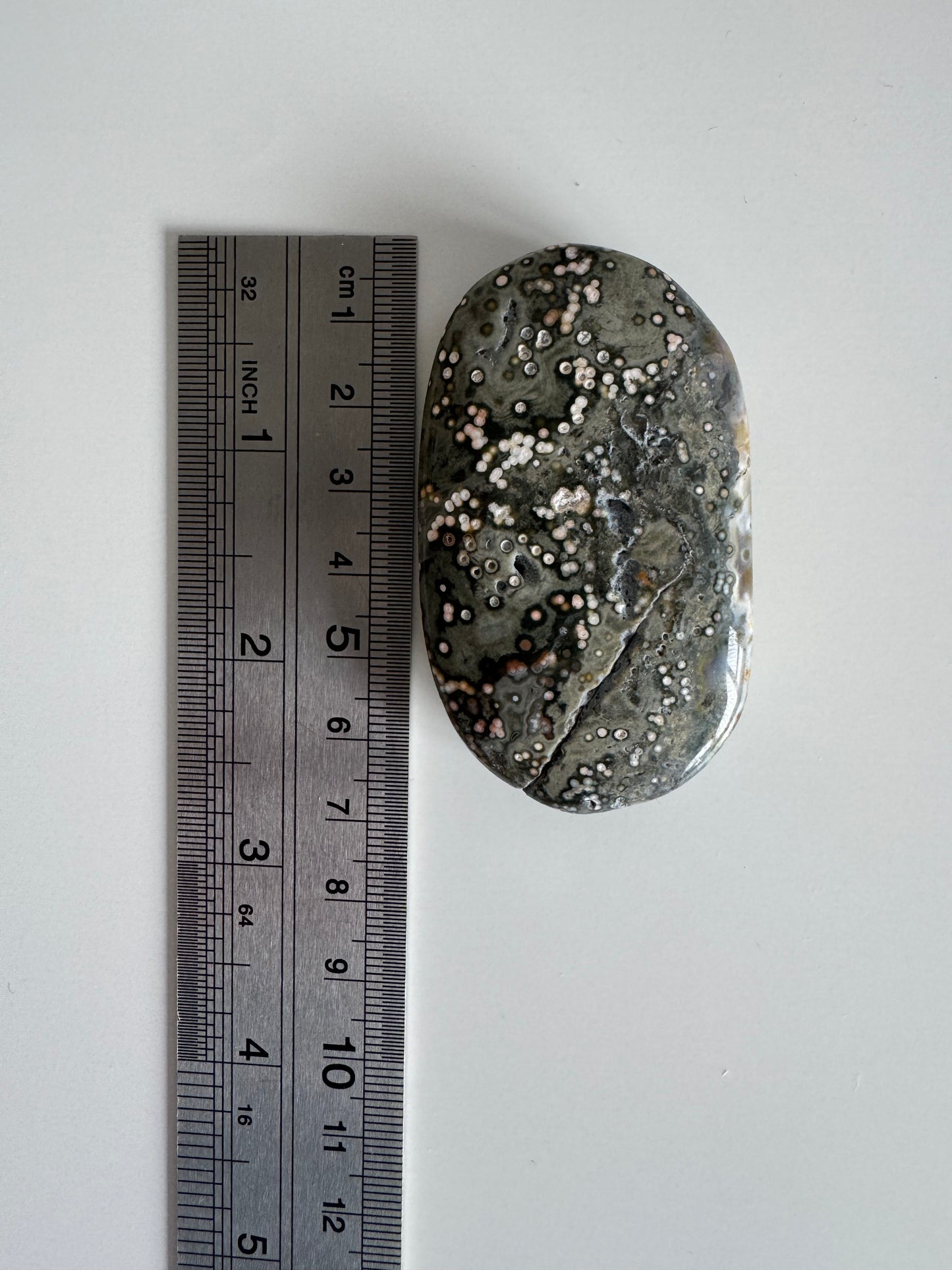 Orbicular Ocean Jasper Palmstone
