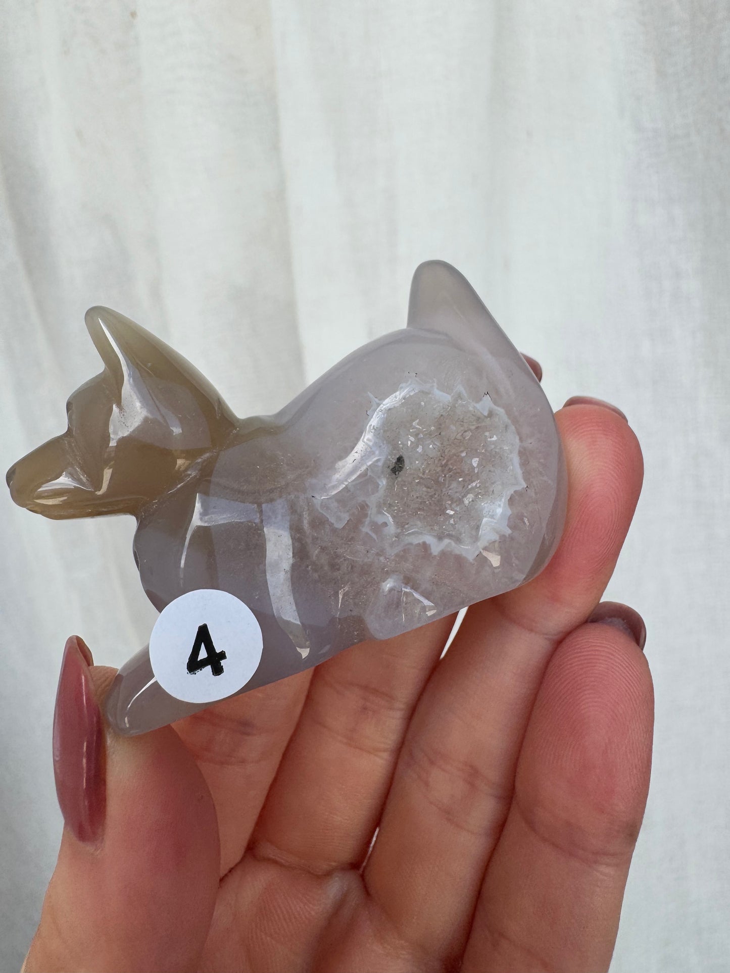 Agate Druzy Puppy/Dog