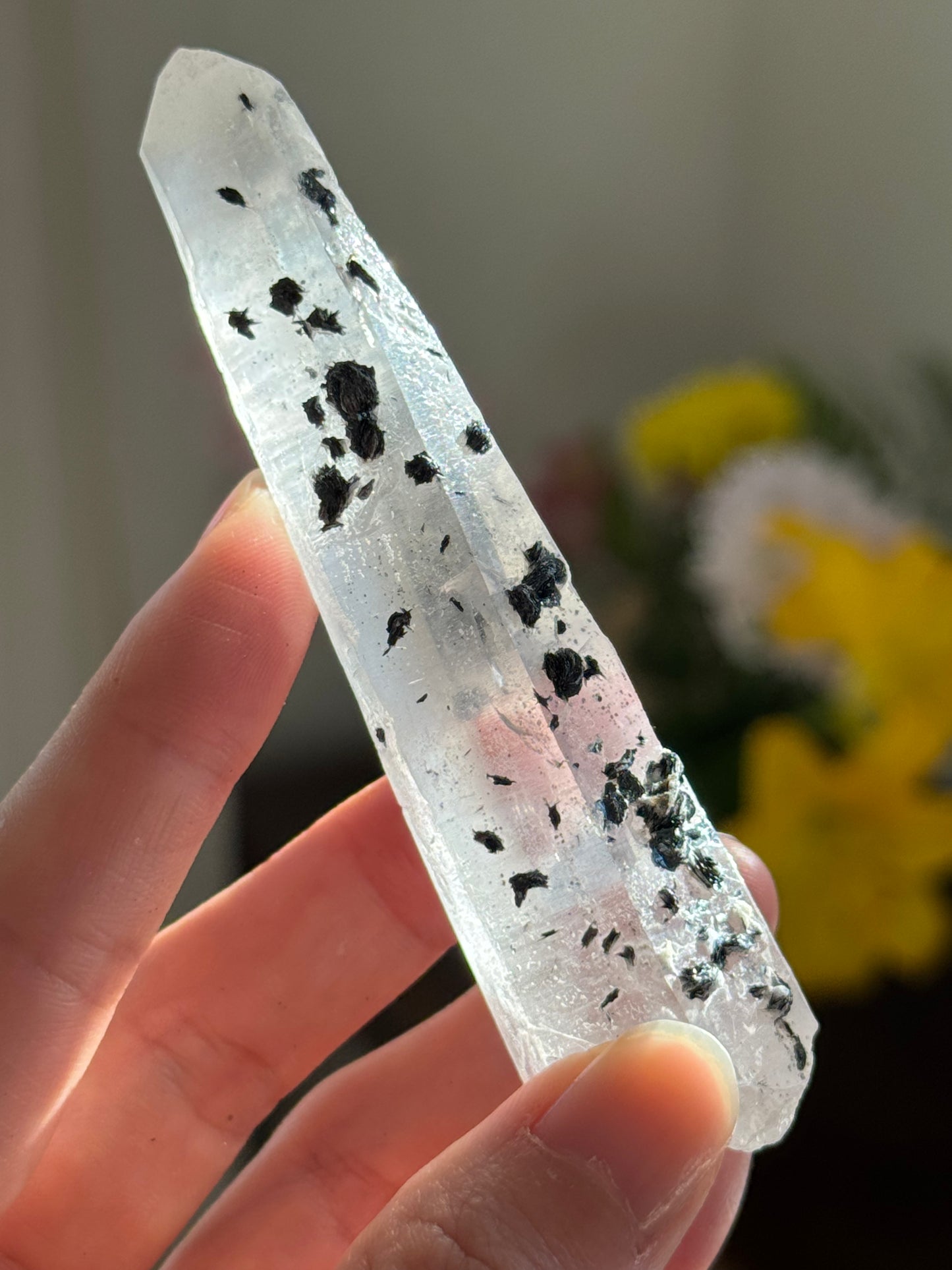 Hematite on Quartz #5