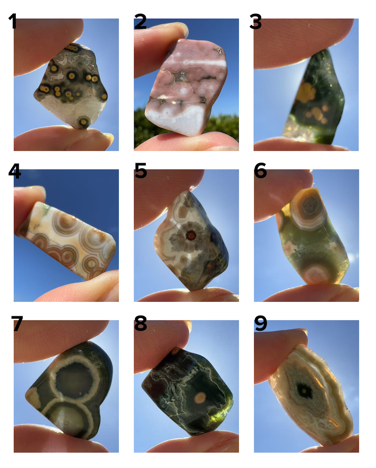 Old Stock Orbicular Ocean Jasper 1 - 9