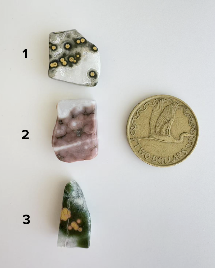 Old Stock Orbicular Ocean Jasper 1 - 9