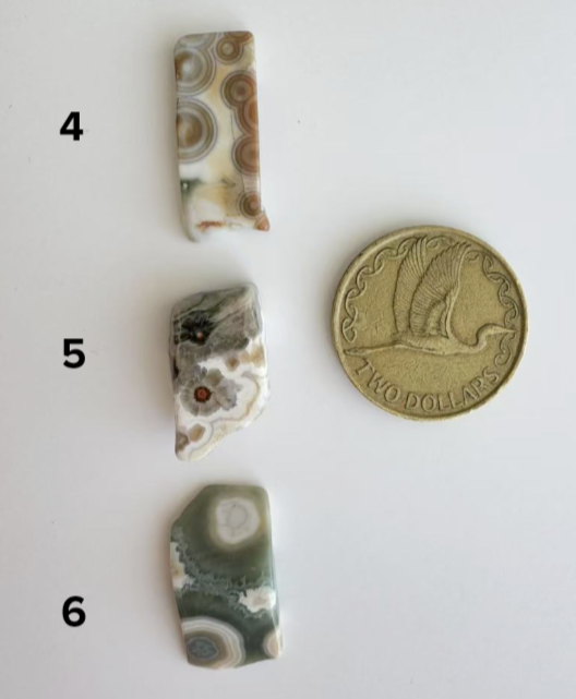 Old Stock Orbicular Ocean Jasper 1 - 9