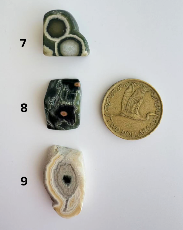 Old Stock Orbicular Ocean Jasper 1 - 9