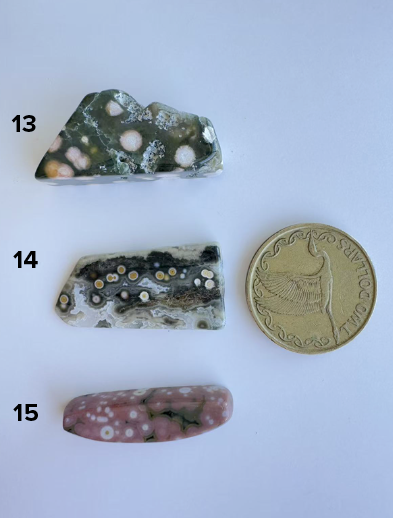 Old Stock Orbicular Ocean Jasper 10-18