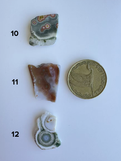 Old Stock Orbicular Ocean Jasper 10-18