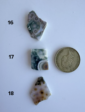 Old Stock Orbicular Ocean Jasper 10-18