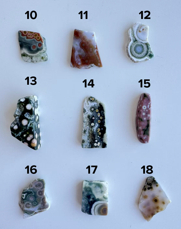 Old Stock Orbicular Ocean Jasper 10-18