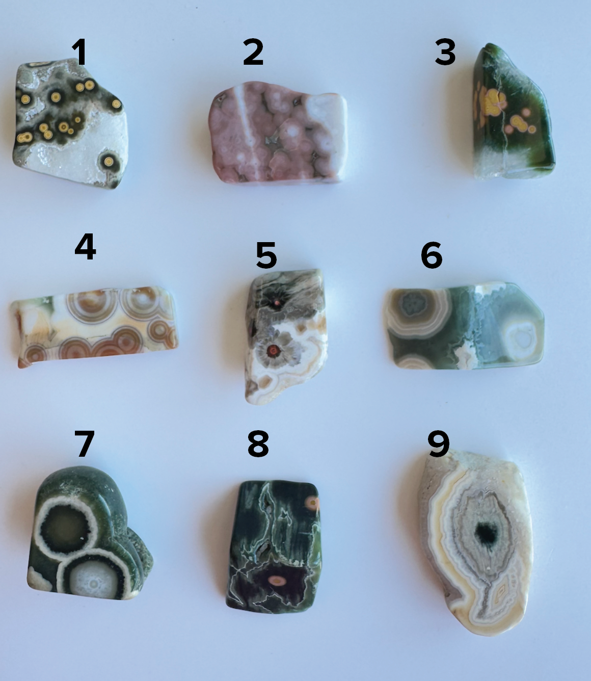 Old Stock Orbicular Ocean Jasper 1 - 9