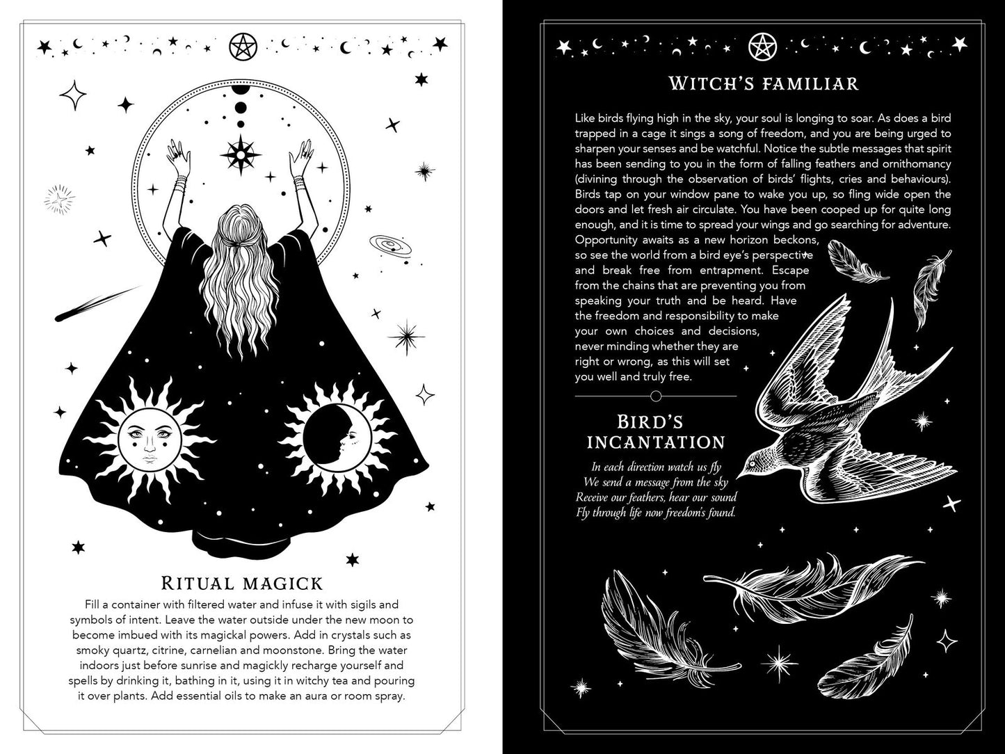 2026 Witch’s Diary: Southern Hemisphere