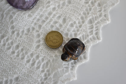 Tigers Eye Turtle