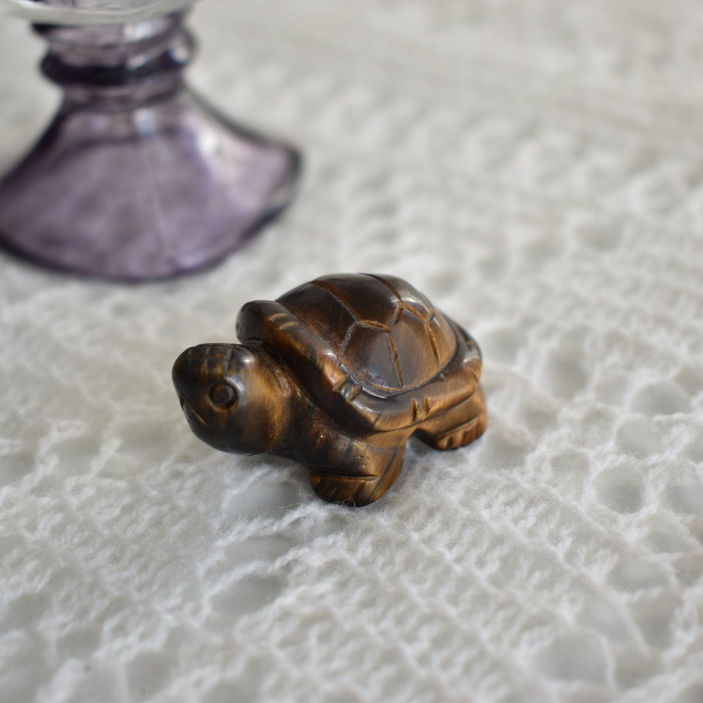 Tigers Eye Turtle