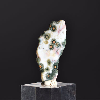 Old Stock Orbicular Ocean Jasper Slab 11g