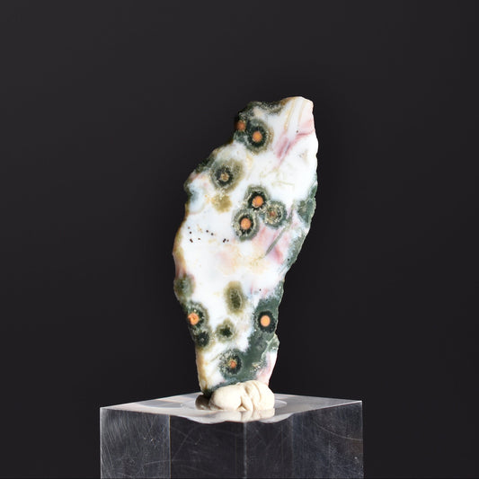 Old Stock Orbicular Ocean Jasper Slab 11g