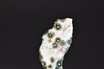 Old Stock Orbicular Ocean Jasper Slab 11g