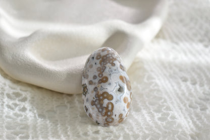Old Stock Orbicular Ocean Jasper Palm Stone #8