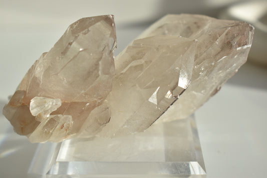Himalayan Smoky Quartz Cluster High Grade #3