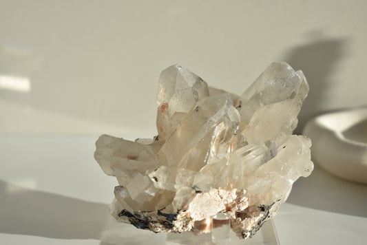 Himalayan Smoky Quartz Cluster High Grade #2