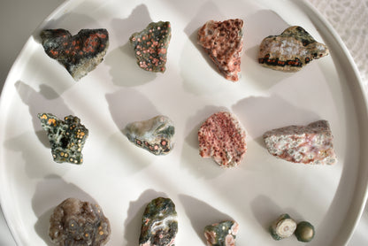 Old Stock Orbicular Ocean Jasper Raw