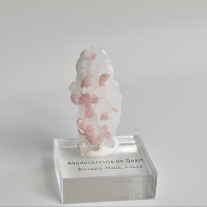 Rhodochrosite on Quartz (with pyrite) Specimen