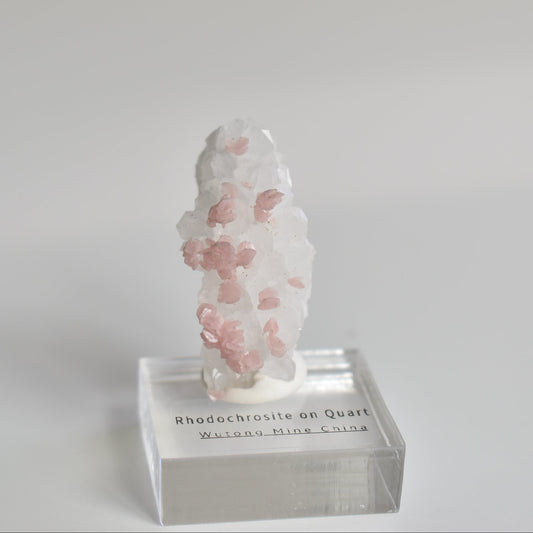 Rhodochrosite on Quartz (with pyrite) Specimen
