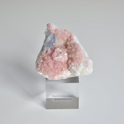 Rhodochrosite on Quartz with Fluorite and Pyrite Specimen