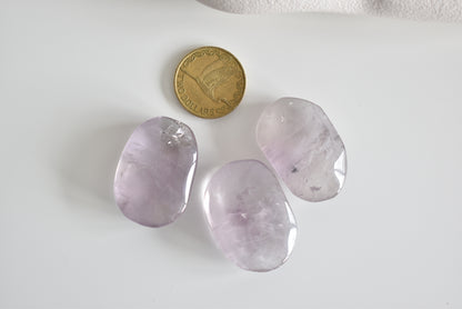 Lavender Amethyst Palm Stone | Calm