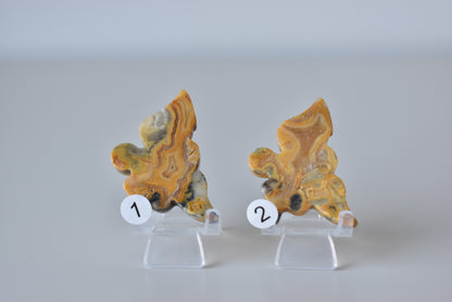 Bumblebee Jasper  Fairy Carving