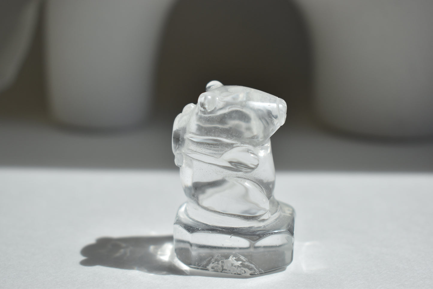 Capybara (High Grade Clear Quartz）