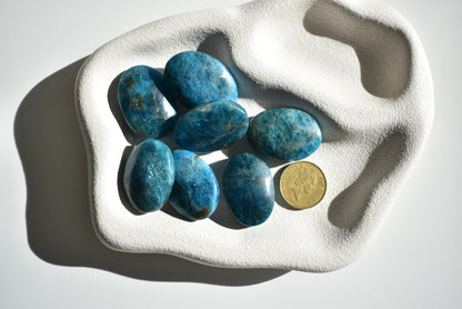 Blue Apatite Palm Stone