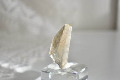Natural Citrine Freeform #1