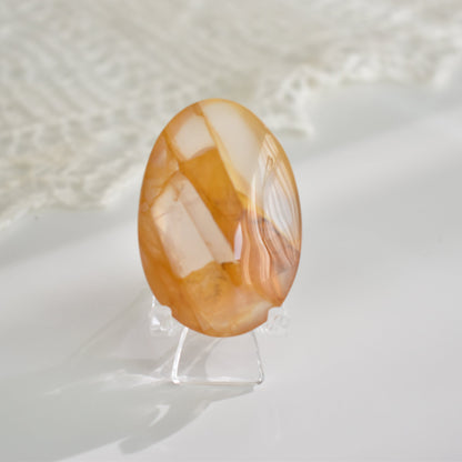 High Grade Golden Healer Palm Stone #2