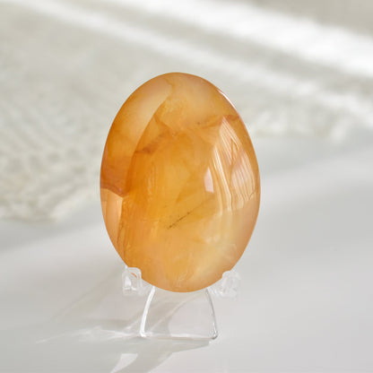 High Grade Golden Healer Palm Stone #4