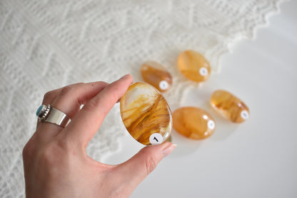 High Grade Golden Healer Palm Stone #1