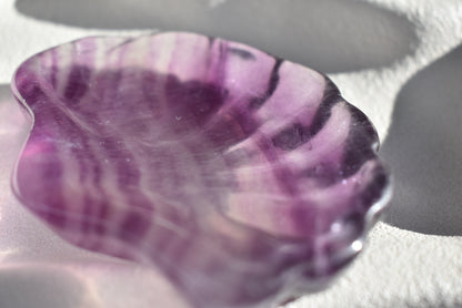 Fluorite Shell Bowl #1