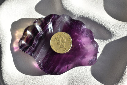 Fluorite Shell Bowl #2