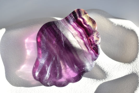 Fluorite Shell Bowl #2