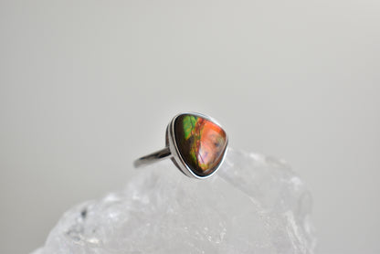 Ammonite Sterling Sliver Ring Adjustable